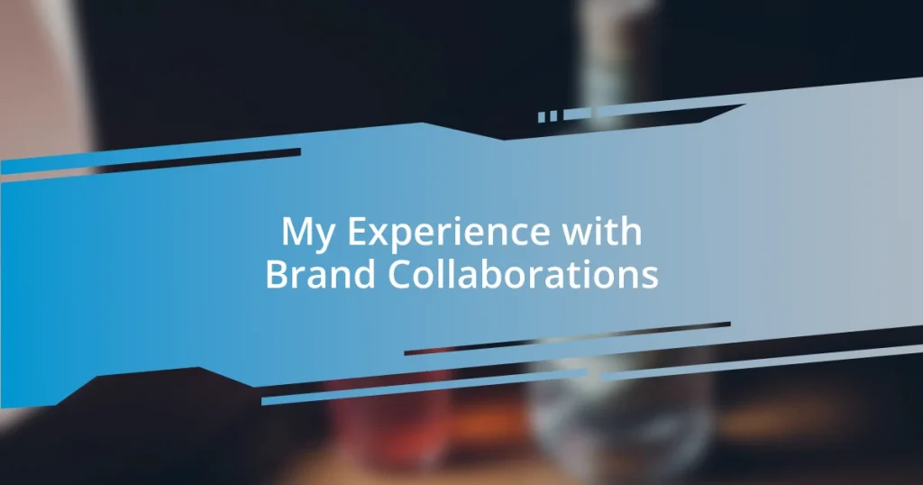 My Experience with Brand Collaborations